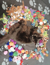 Charger l'image dans la galerie, Jouets pour chat (À l'unité)