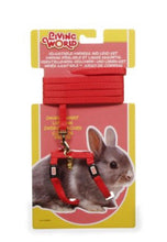 Charger l'image dans la galerie, Harnais Pour Lapin Nain