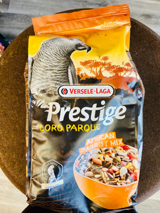 Africain Parrot Prestige